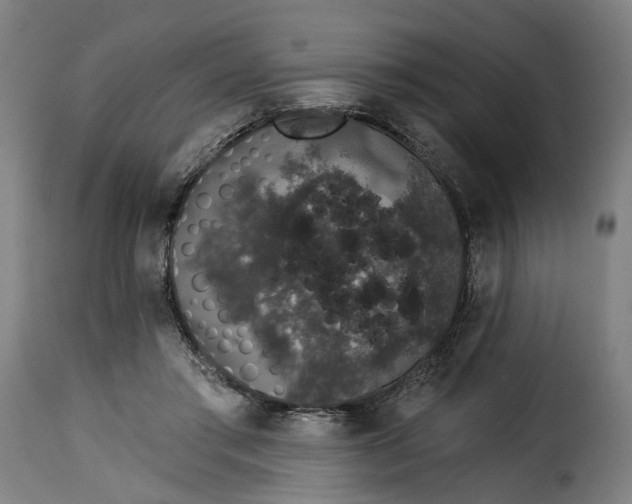 X0000115270405200911201733