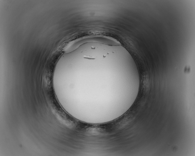 X0000115270408200911201733