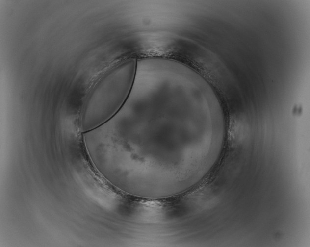 X0000115270409200911201733