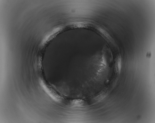 X0000115270410200911201733