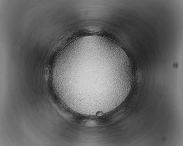 X0000115270412200911201733