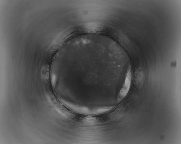 X0000115270413200911201733