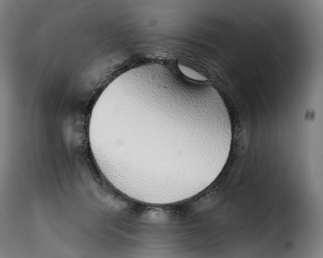 X0000115270416200911201733