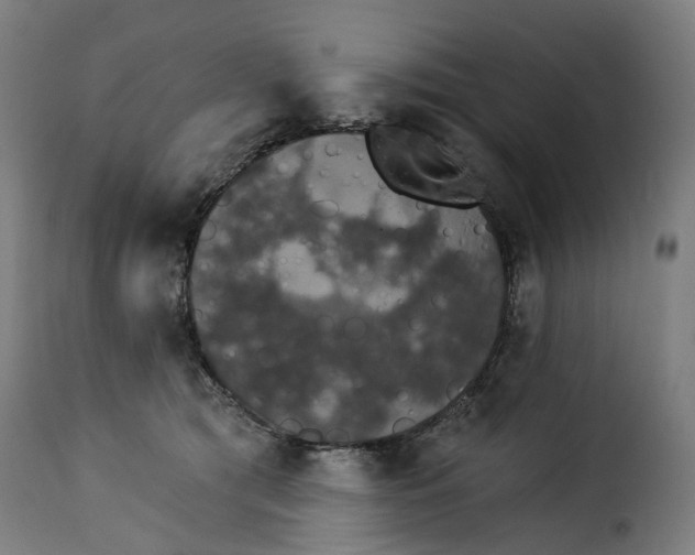 X0000115270417200911201733