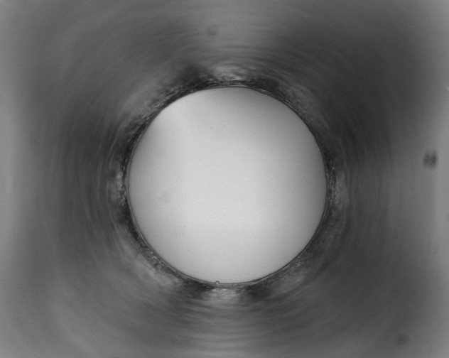 X0000115270418200911201733