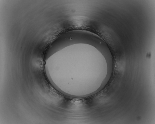 X0000115270419200911201733