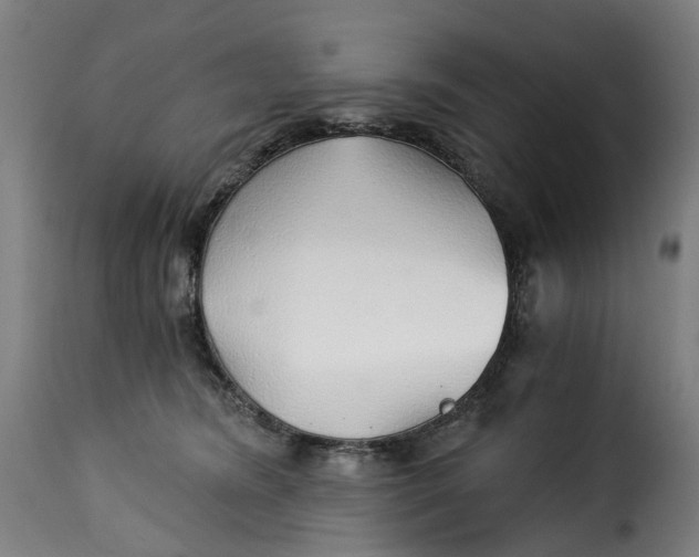 X0000115270420200911201733