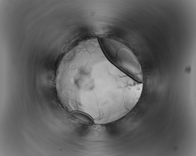 X0000115270421200911201733