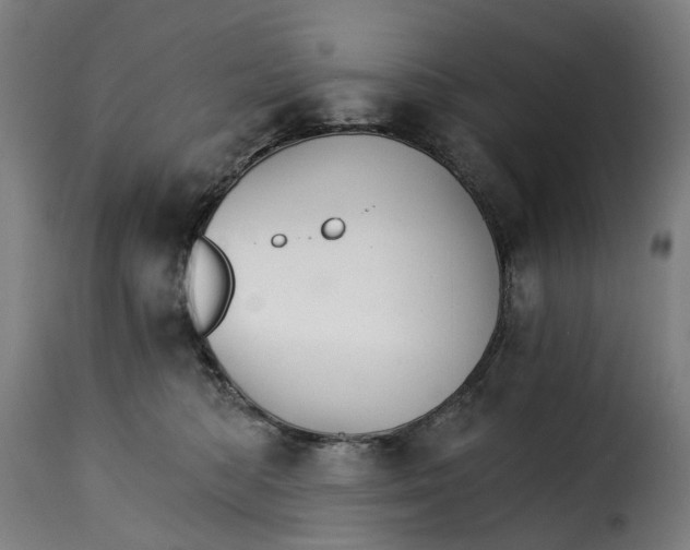 X0000115270422200911201733