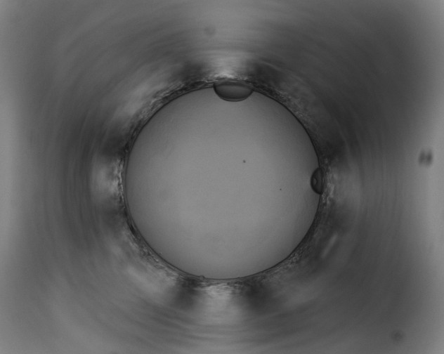 X0000115270423200911201733