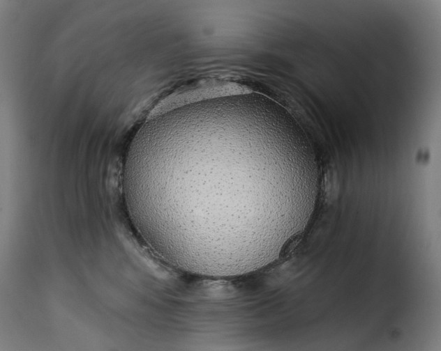 X0000115270424200911201733