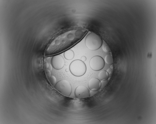 X0000115270425200911201733