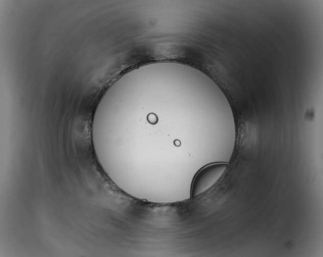 X0000115270426200911201733