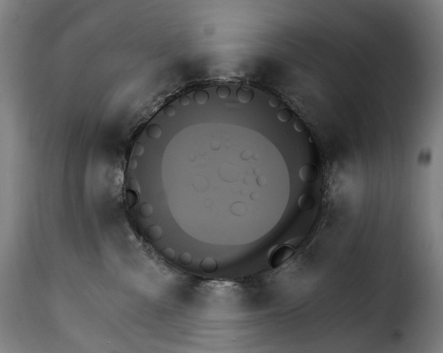 X0000115270427200911201733