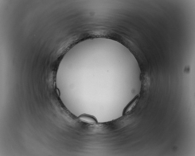 X0000115270428200911201733