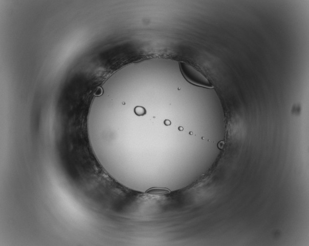 X0000115270429200911201733