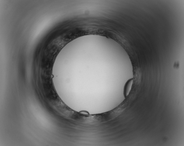 X0000115270430200911201733