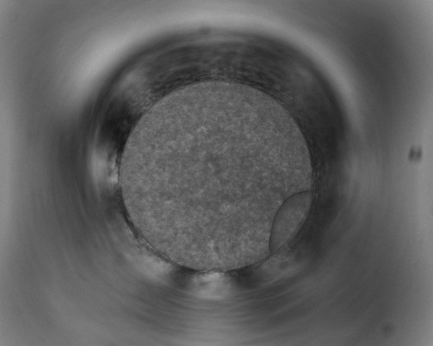 X0000115270431200911201733