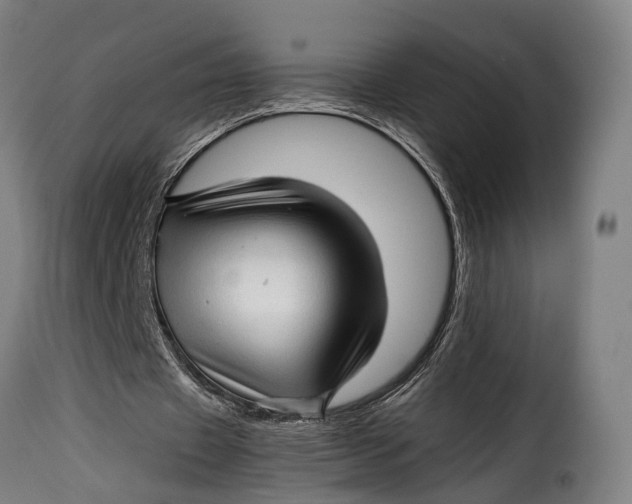 X0000115270433200911201732
