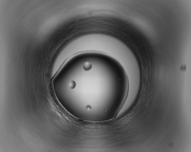 X0000115270435200911201732