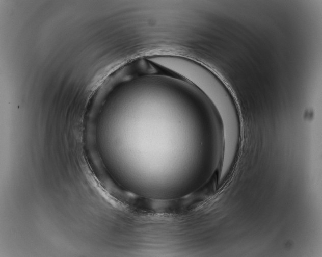 X0000115270437200911201732