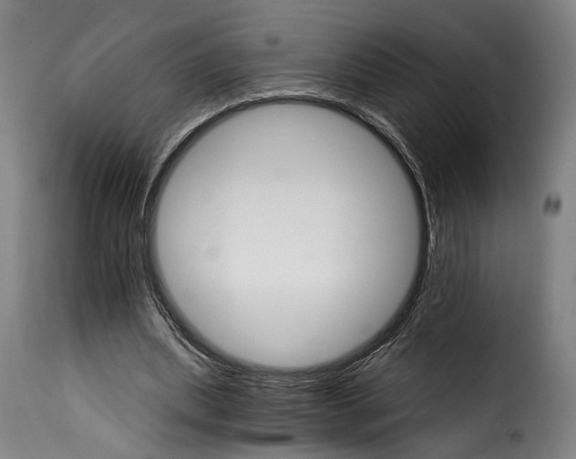 X0000115270439200911201732