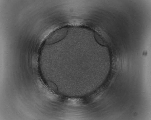 X0000115270440200911201732