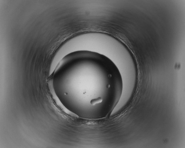 X0000115270441200911201732