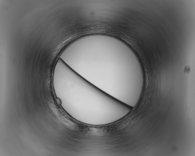 X0000115270442200911201732