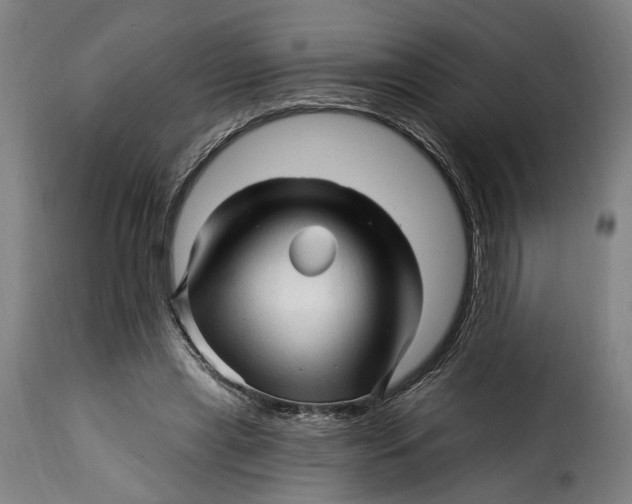 X0000115270445200911201732