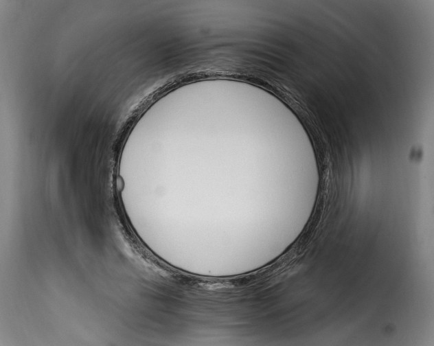 X0000115270446200911201732