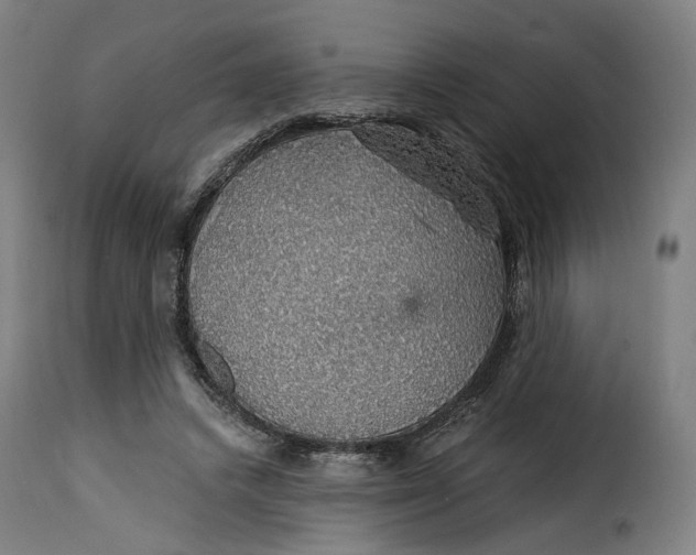 X0000115270448200911201732