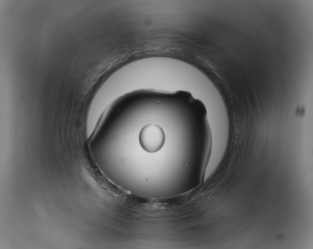 X0000115270451200911201732