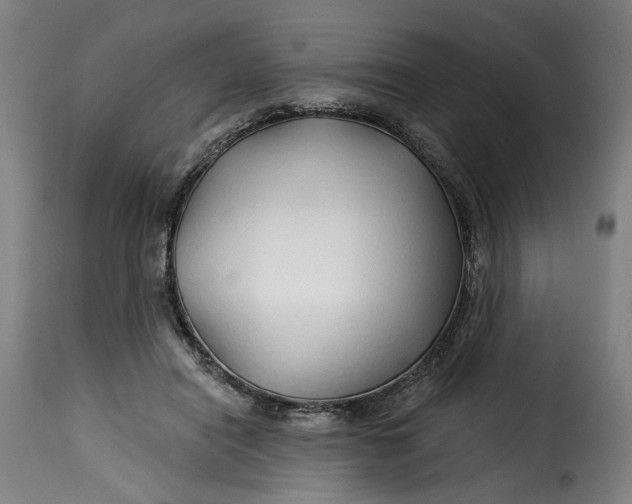 X0000115270454200911201732