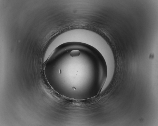 X0000115270455200911201732