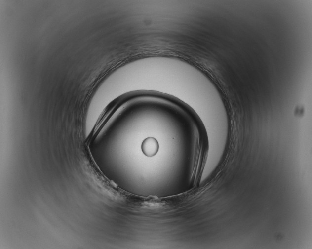 X0000115270457200911201732