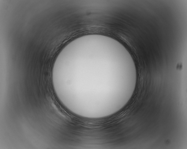 X0000115270459200911201732
