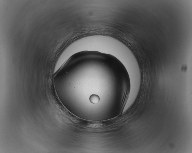 X0000115270461200911201733