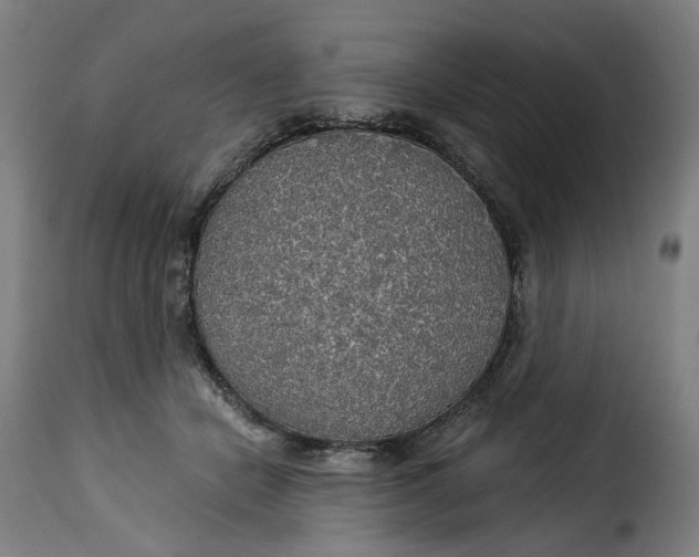 X0000115270462200911201733