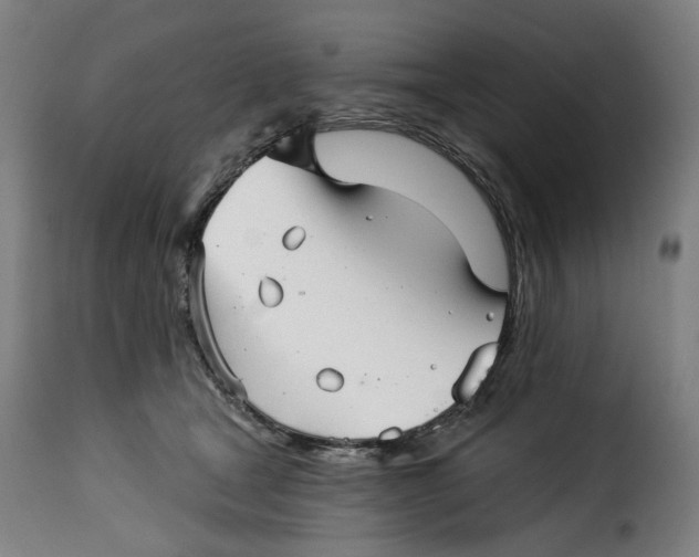 X0000115270465200911201733