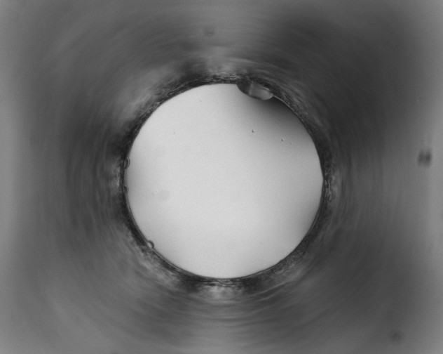 X0000115270466200911201733