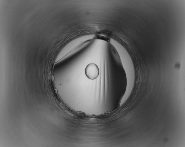 X0000115270467200911201733