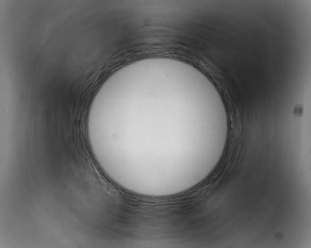 X0000115270469200911201733