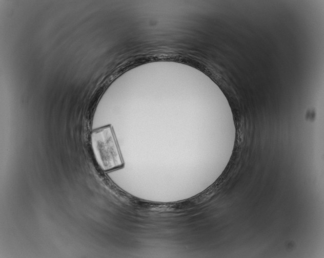 X0000115270470200911201733
