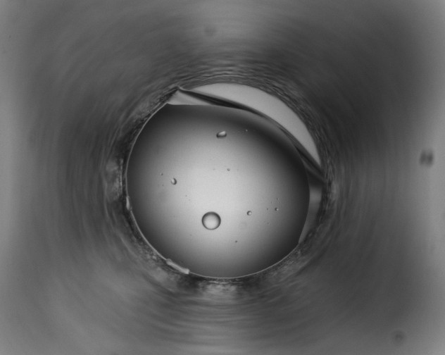 X0000115270471200911201733