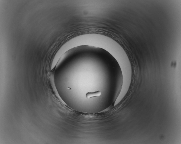X0000115270473200911201733