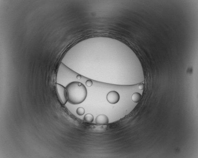 X0000115270474200911201733