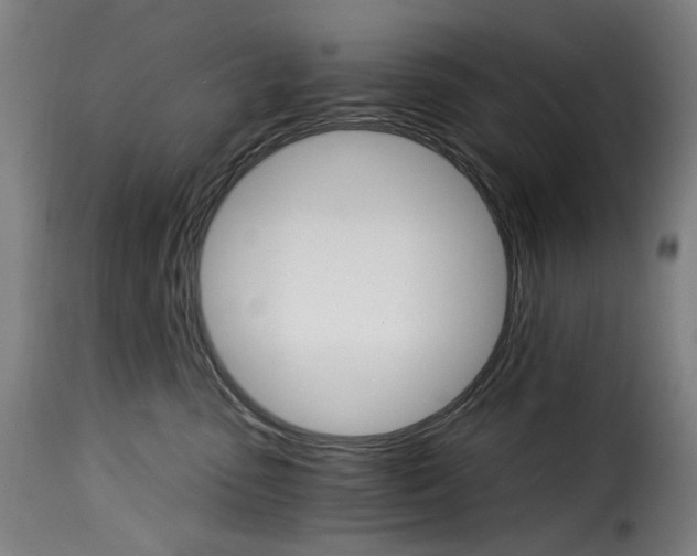 X0000115270475200911201733