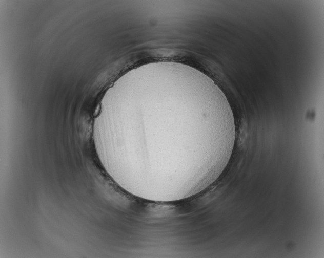 X0000115270476200911201733