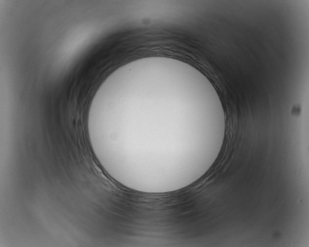 X0000115270477200911201733